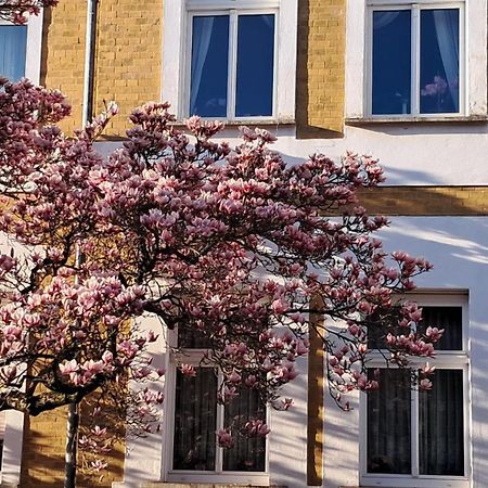 Ferienwohnung Rosi ナウムブルク エクステリア 写真